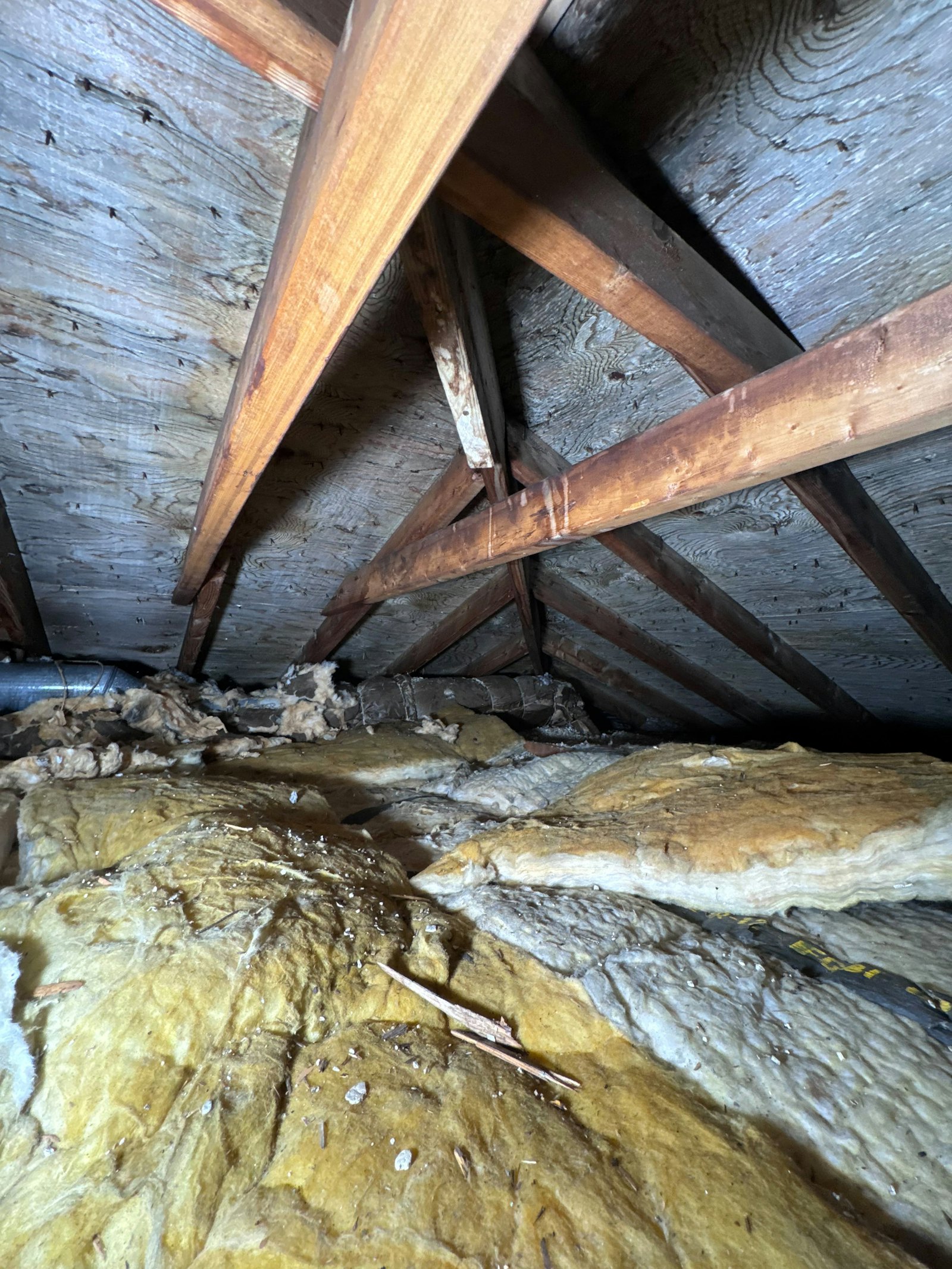 Older attic with thin insulation between rafters